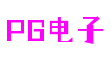 北京市电子PG信息发展有限公司